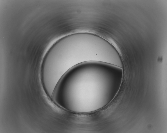 X0000091481132200708161143