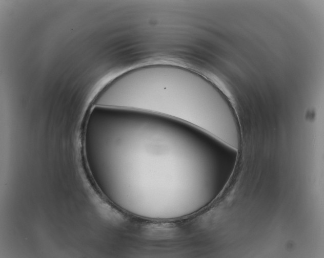 X0000091481133200708161143