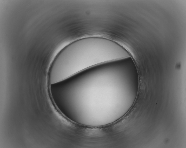 X0000091481135200708161143