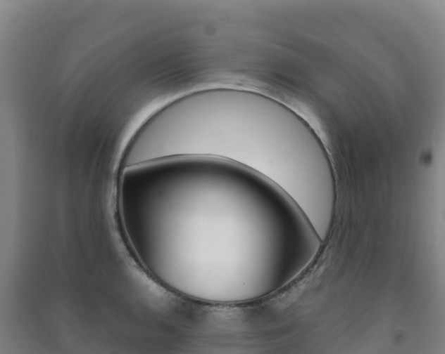 X0000091481136200708161143