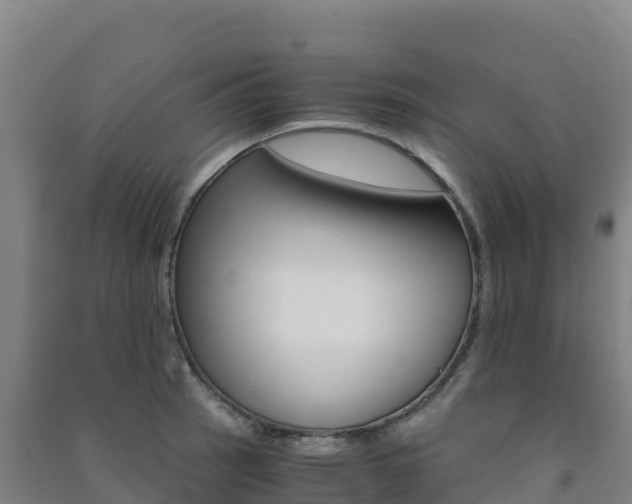 X0000091481137200708161143