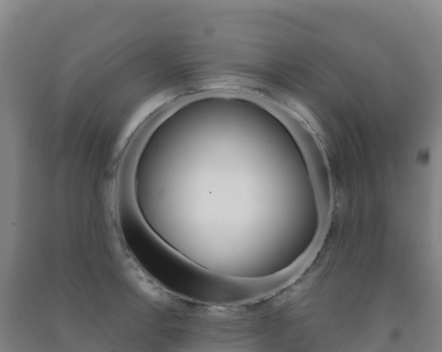 X0000091481138200708161143