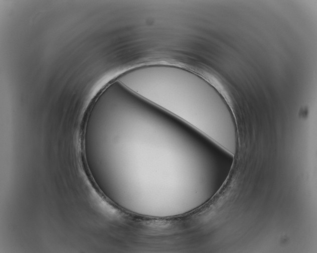X0000091481141200708161143