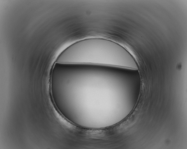 X0000091481143200708161143