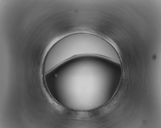 X0000091481144200708161143