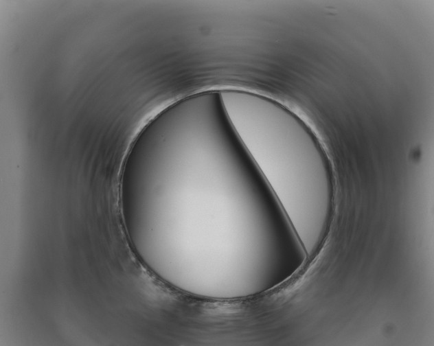 X0000091481145200708161143