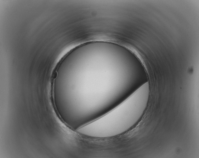 X0000091481147200708161143
