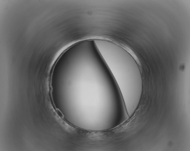 X0000091481148200708161143