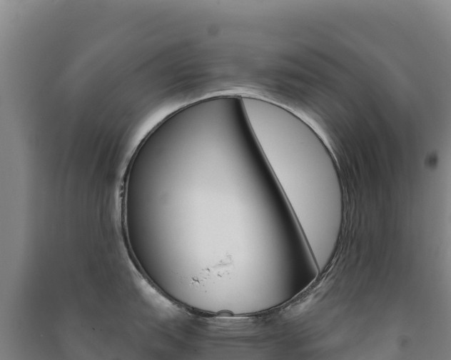 X0000091481151200708161143