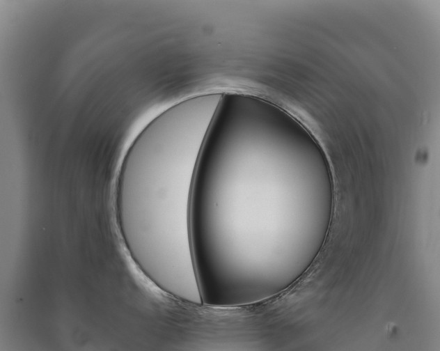 X0000091481152200708161143