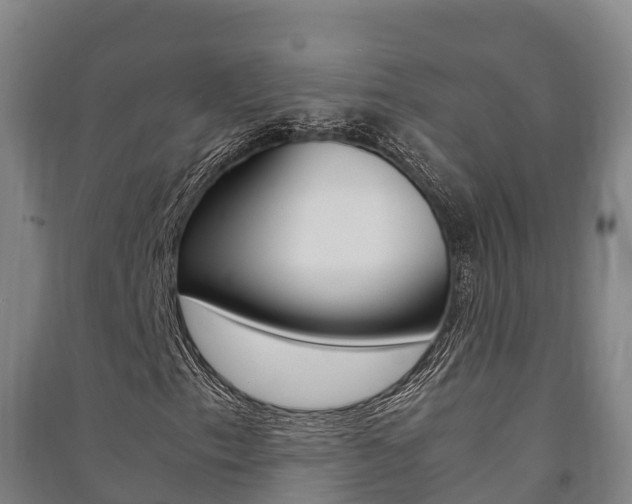 X0000091481153200708161142