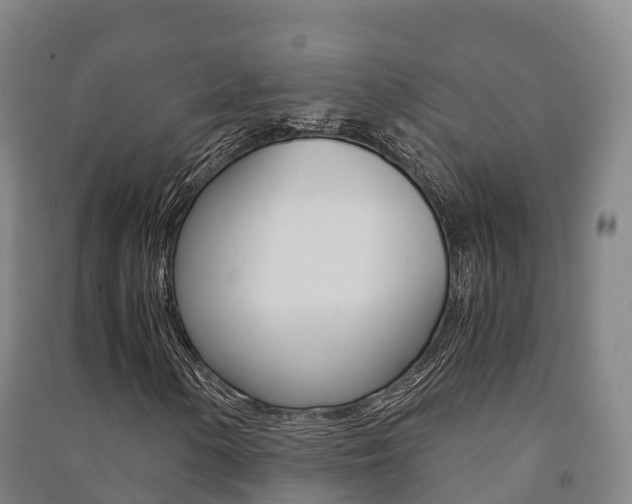 X0000091481154200708161142