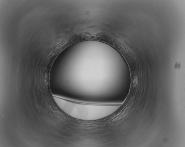 X0000091481156200708161142