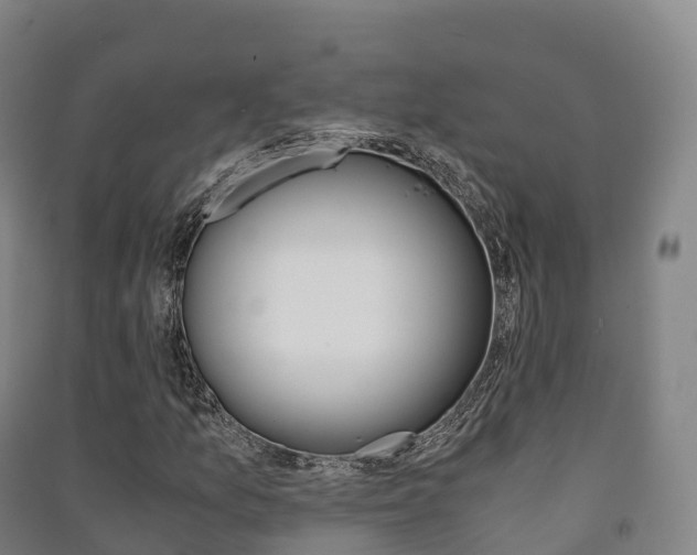 X0000091481157200708161142