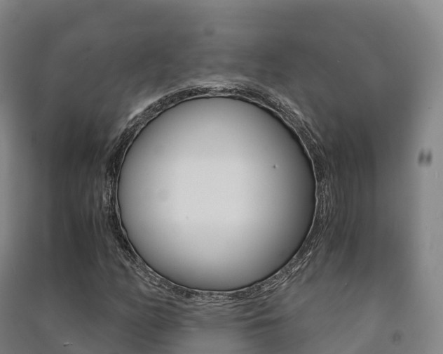 X0000091481158200708161142