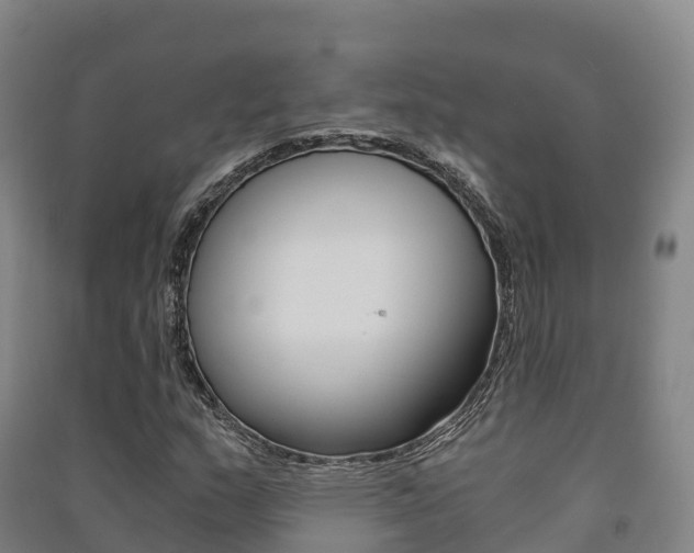 X0000091481159200708161142