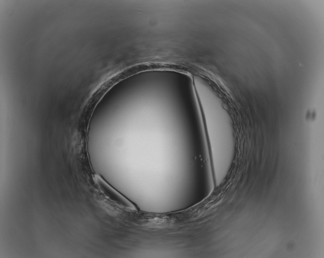 X0000091481160200708161142