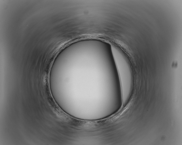 X0000091481161200708161142