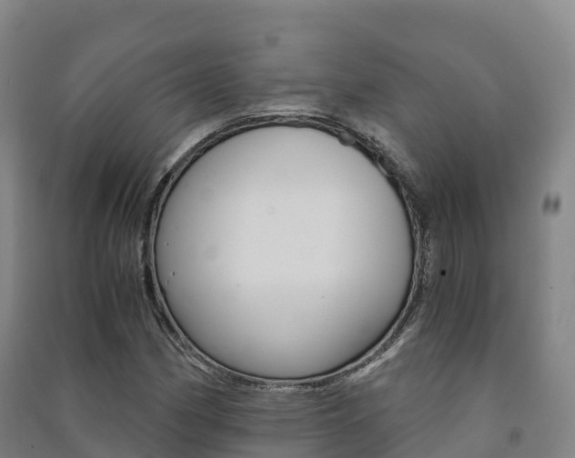 X0000091481162200708161142