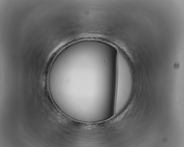 X0000091481165200708161142