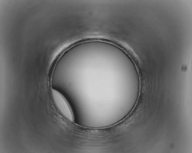 X0000091481167200708161142