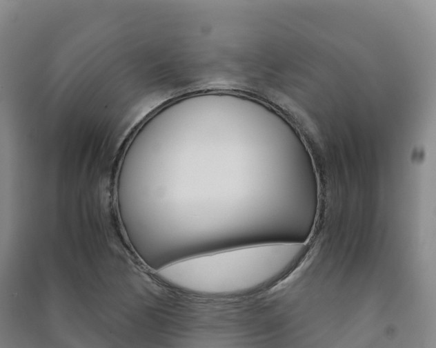 X0000091481170200708161142
