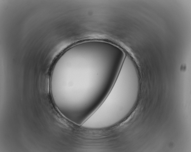 X0000091481171200708161142