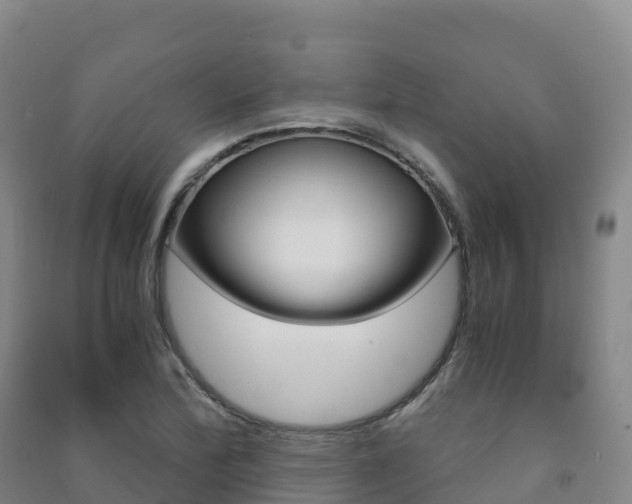 X0000091481172200708161142