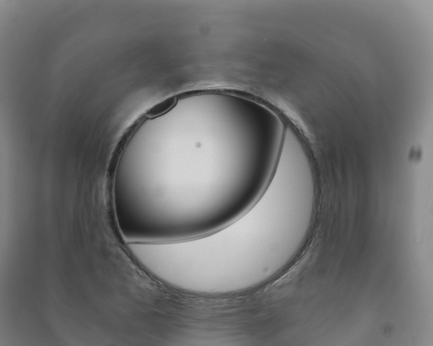 X0000091481173200708161142