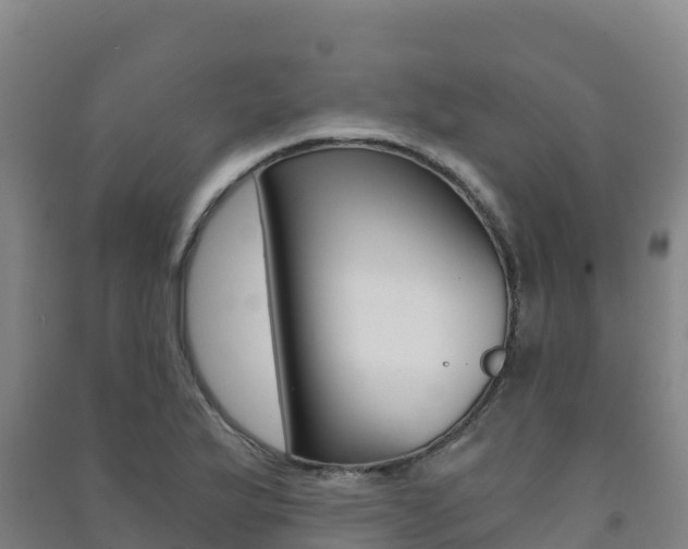 X0000091481175200708161142