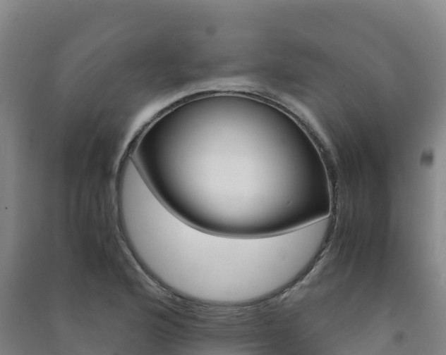 X0000091481176200708161142