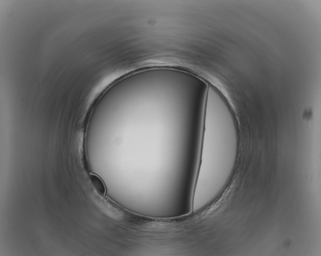 X0000091481179200708161142