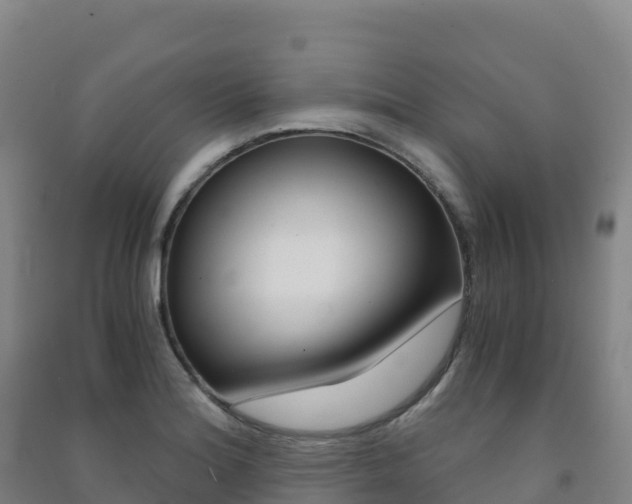 X0000091481180200708161142