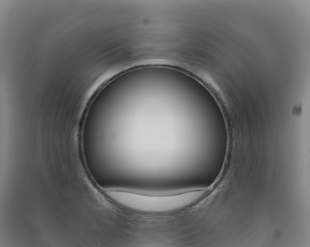 X0000091481181200708161142