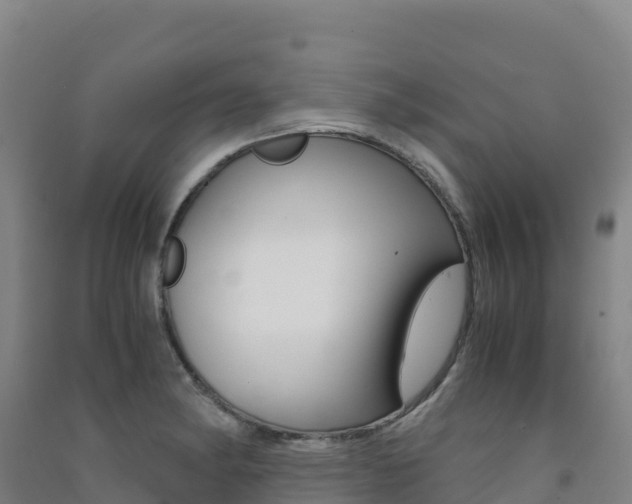 X0000091481182200708161142
