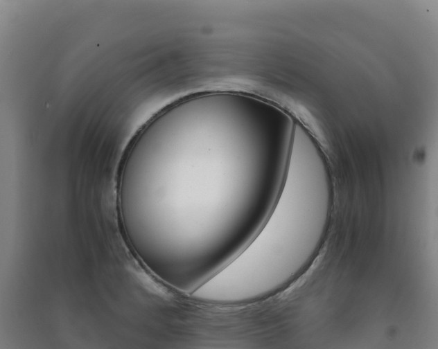 X0000091481184200708161142