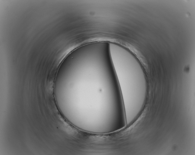 X0000091481185200708161142
