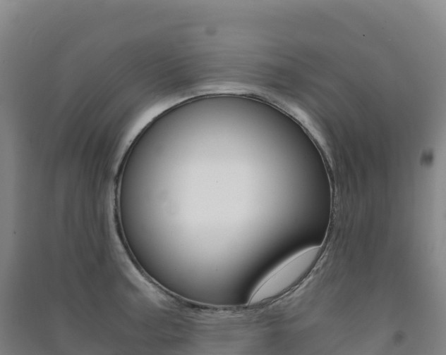 X0000091481187200708161142