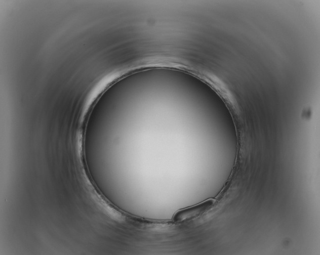 X0000091481188200708161142
