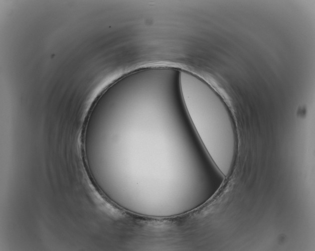 X0000091481189200708161142