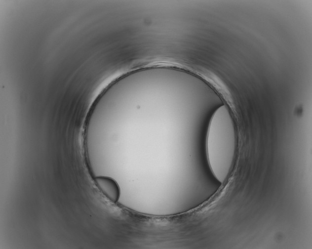X0000091481190200708161142