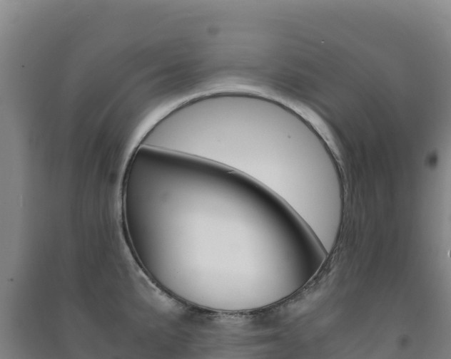 X0000091481191200708161142