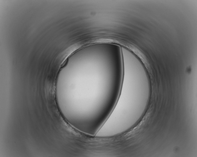X0000091481193200708161142