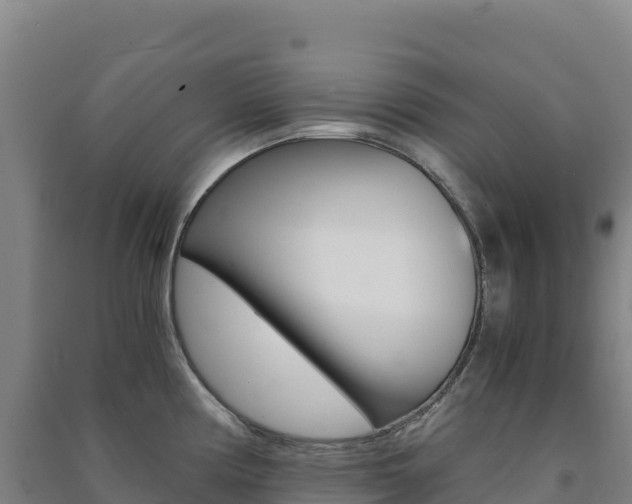 X0000091481194200708161142