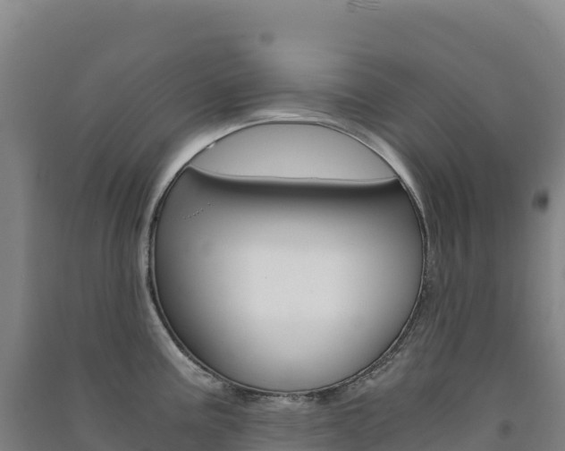 X0000091481195200708161142