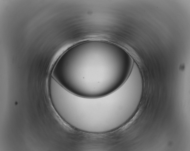 X0000091481196200708161142