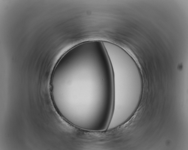 X0000091481197200708161142