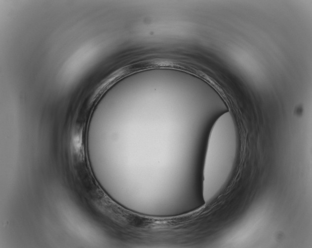 X0000091481198200708161142