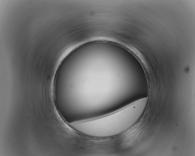 X0000091481199200708161142