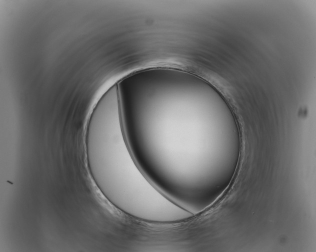 X0000091481200200708161142